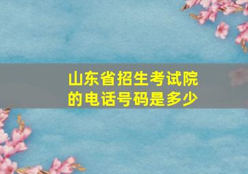 山东省招生考试院的电话号码是多少