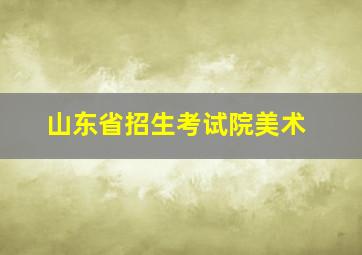 山东省招生考试院美术