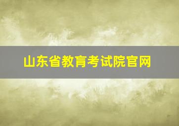 山东省教肓考试院官网