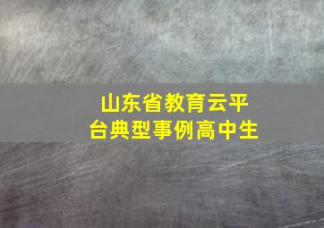 山东省教育云平台典型事例高中生