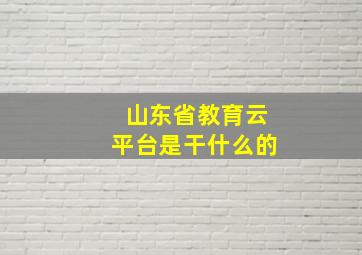 山东省教育云平台是干什么的