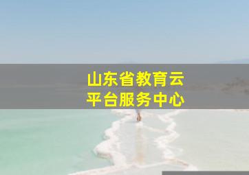 山东省教育云平台服务中心