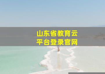 山东省教育云平台登录官网