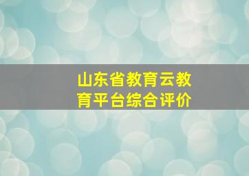 山东省教育云教育平台综合评价