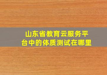 山东省教育云服务平台中的体质测试在哪里