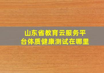 山东省教育云服务平台体质健康测试在哪里