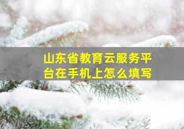 山东省教育云服务平台在手机上怎么填写