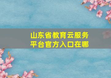 山东省教育云服务平台官方入口在哪