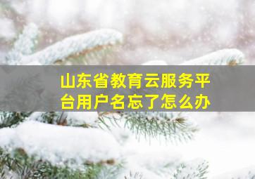 山东省教育云服务平台用户名忘了怎么办