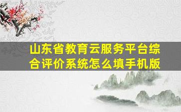 山东省教育云服务平台综合评价系统怎么填手机版