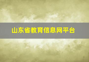 山东省教育信息网平台