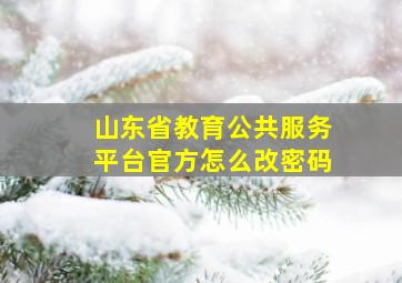 山东省教育公共服务平台官方怎么改密码