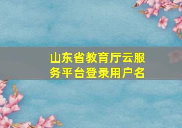 山东省教育厅云服务平台登录用户名