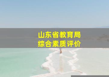 山东省教育局综合素质评价