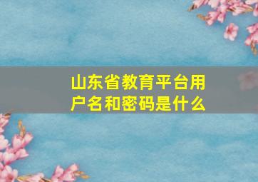 山东省教育平台用户名和密码是什么