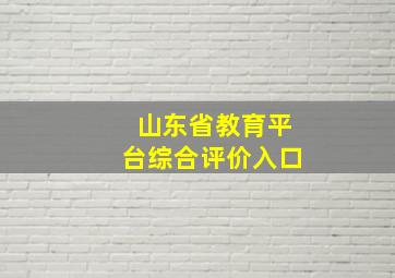 山东省教育平台综合评价入口