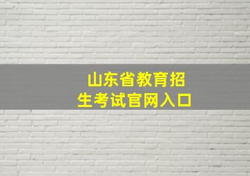 山东省教育招生考试官网入口