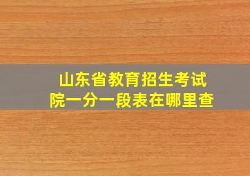 山东省教育招生考试院一分一段表在哪里查