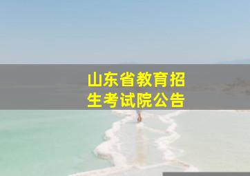 山东省教育招生考试院公告