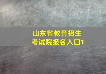 山东省教育招生考试院报名入口1