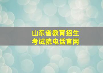 山东省教育招生考试院电话官网