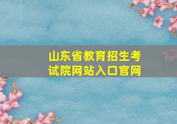 山东省教育招生考试院网站入口官网