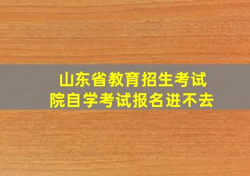 山东省教育招生考试院自学考试报名进不去