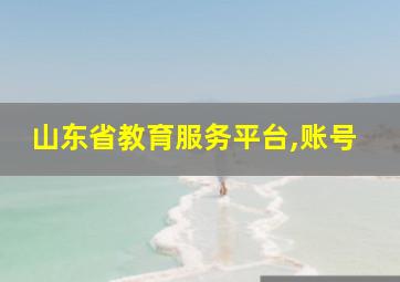 山东省教育服务平台,账号