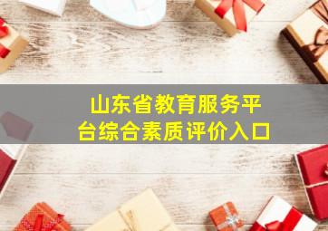 山东省教育服务平台综合素质评价入口