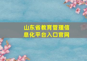 山东省教育管理信息化平台入口官网