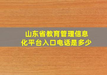 山东省教育管理信息化平台入口电话是多少