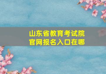 山东省教育考试院官网报名入口在哪