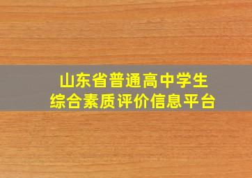 山东省普通高中学生综合素质评价信息平台