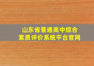 山东省普通高中综合素质评价系统平台官网