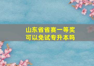 山东省省赛一等奖可以免试专升本吗