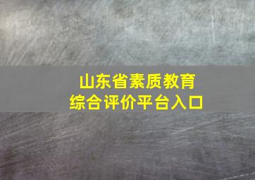 山东省素质教育综合评价平台入口