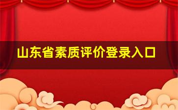 山东省素质评价登录入口