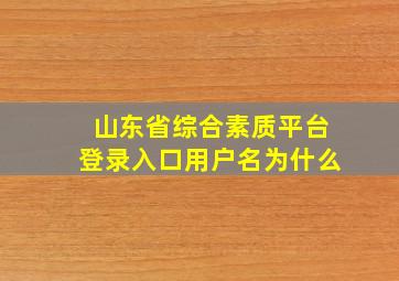 山东省综合素质平台登录入口用户名为什么