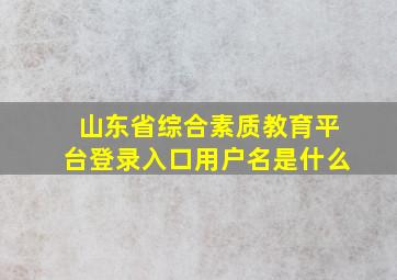 山东省综合素质教育平台登录入口用户名是什么