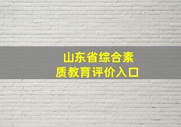 山东省综合素质教育评价入口