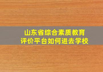 山东省综合素质教育评价平台如何进去学校