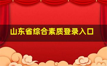 山东省综合素质登录入口