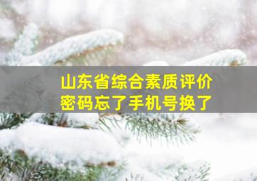 山东省综合素质评价密码忘了手机号换了