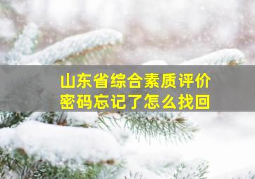 山东省综合素质评价密码忘记了怎么找回