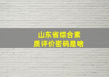 山东省综合素质评价密码是啥