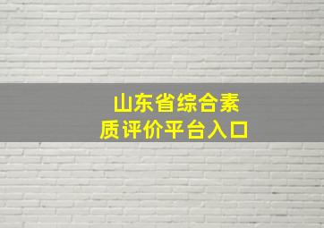 山东省综合素质评价平台入口