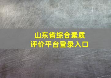 山东省综合素质评价平台登录入口