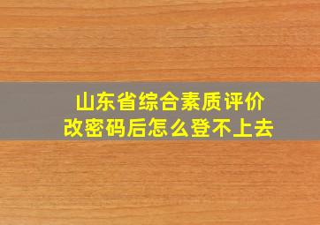 山东省综合素质评价改密码后怎么登不上去