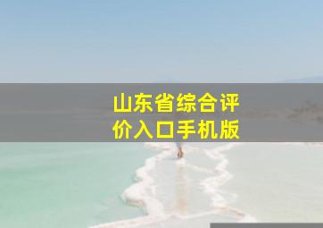 山东省综合评价入口手机版