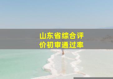 山东省综合评价初审通过率